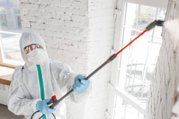 Best Forensic Mold Investigation  in West Loch Estate, HI
